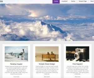 blog online website 7