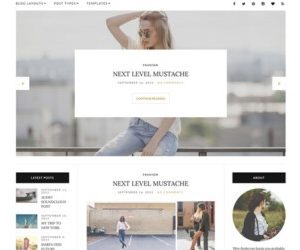 blog online website 6