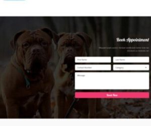 business online website 9