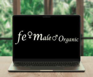 Κατασκευή Λογότυπου - Likenet